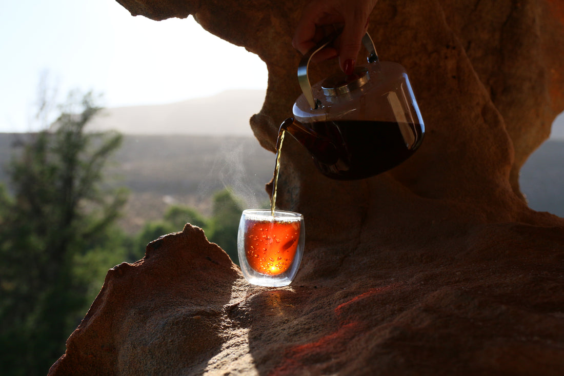 Rooibos from Plant to Harvest