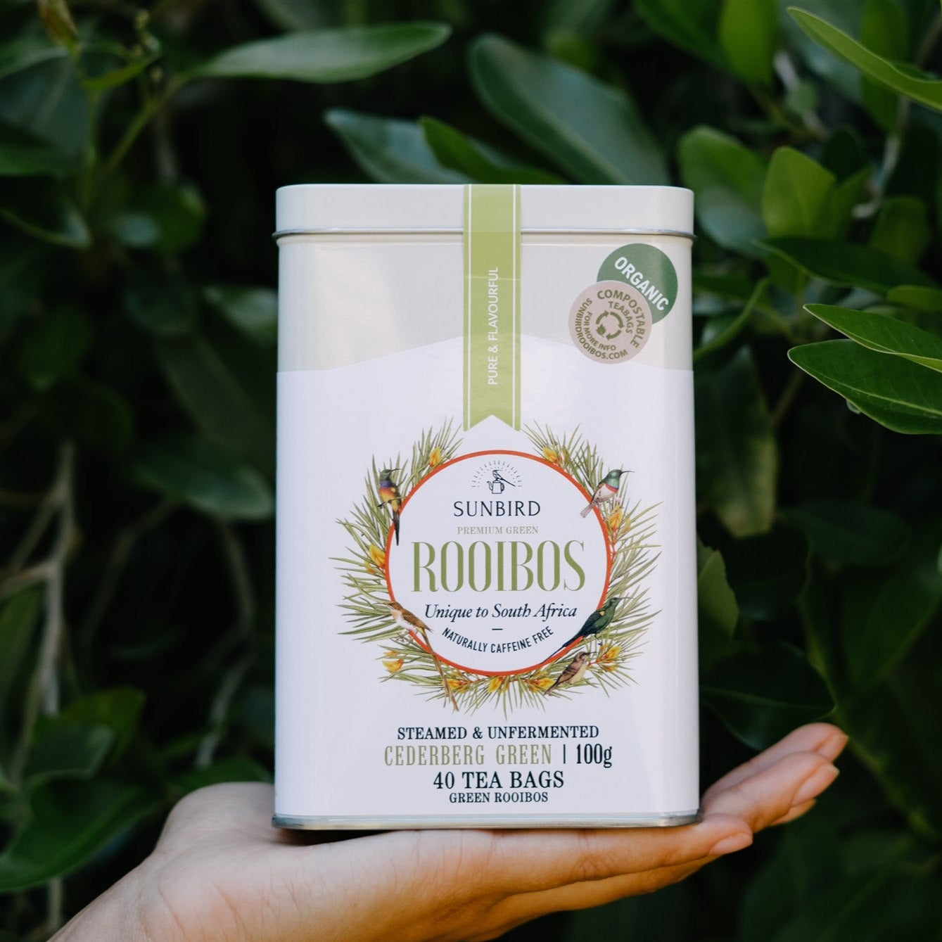 Sunbird Rooibos organic cederberg green rooibos in a white tin