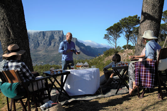 Exclusive Rooibos Tastings in Cape Town