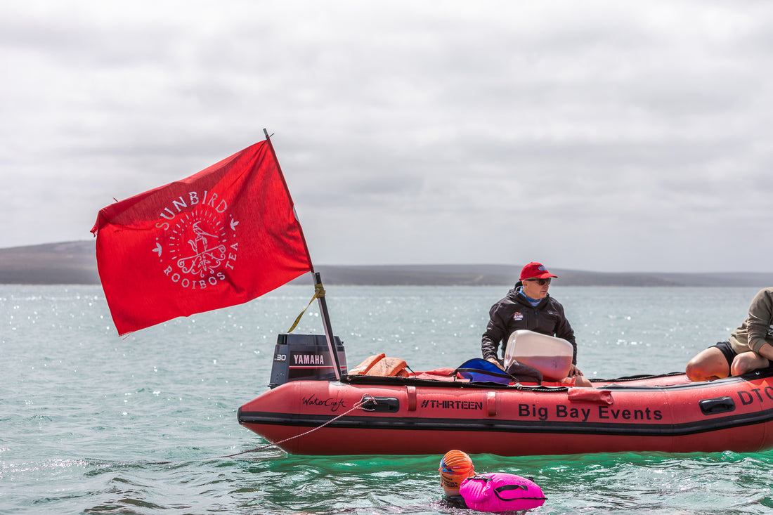 Rooibos and Long Distance Swimming by Anton Louw